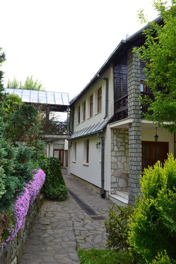 Casa Bota Hotel Vişeu de Sus Exterior foto