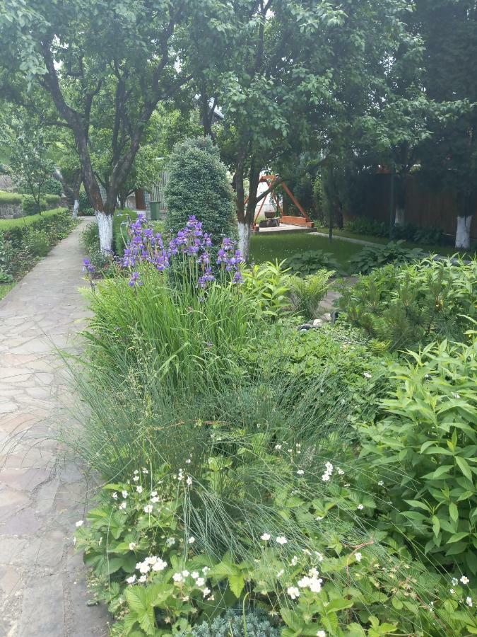 Casa Bota Hotel Vişeu de Sus Exterior foto